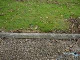 image of grave number 199304